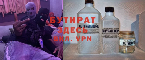 шишки Лабытнанги