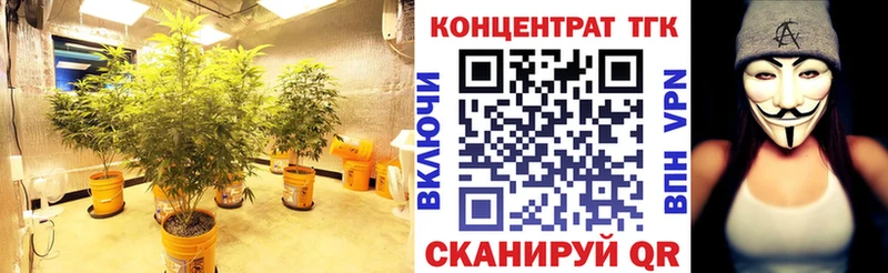 купить   Киренск  даркнет формула  Дистиллят ТГК вейп 