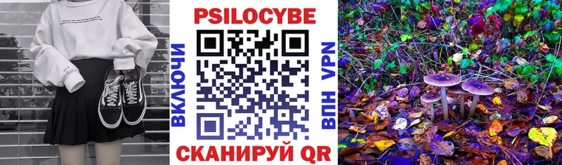 Галлюциногенные грибы Psilocybine cubensis  магазин  наркотиков  kraken ссылки  Киренск 